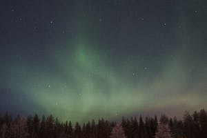 Aurores Boreales<br>NIKON Df, 24 mm, 1600 ISO,  1/0 sec,  f : 3.2 